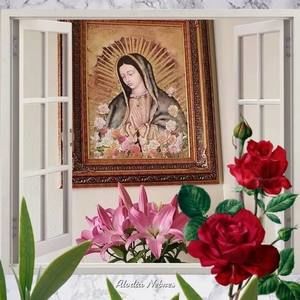 Meet your Posher, Luis